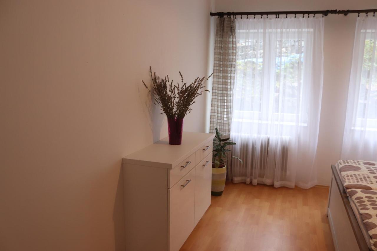 Apartman 825 Jáchymov Exteriér fotografie